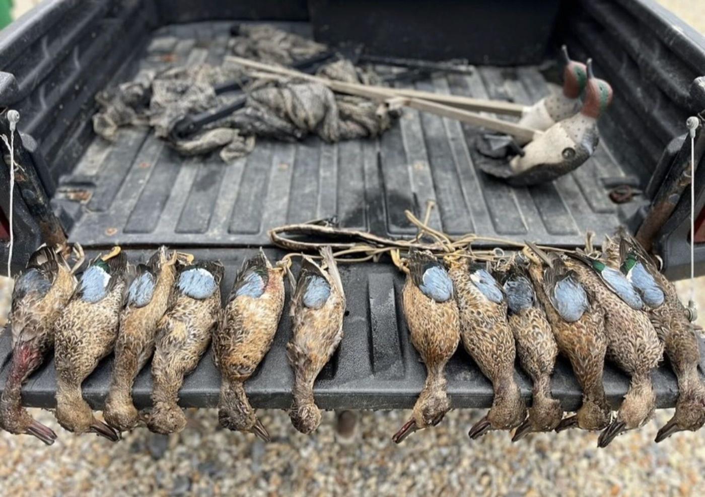 Hunters with a Louisiana waterfowl limit